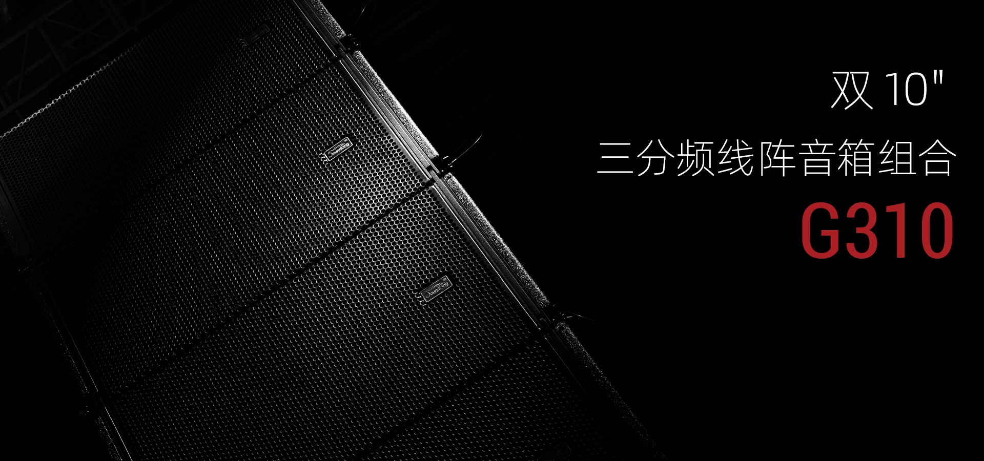 G310