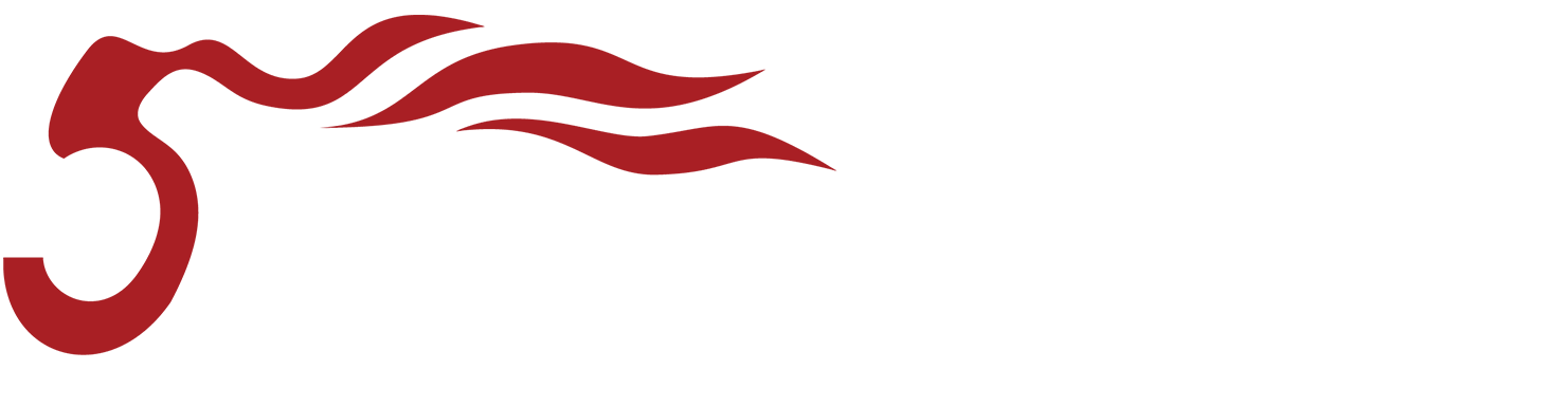 音王电声股份有限公司