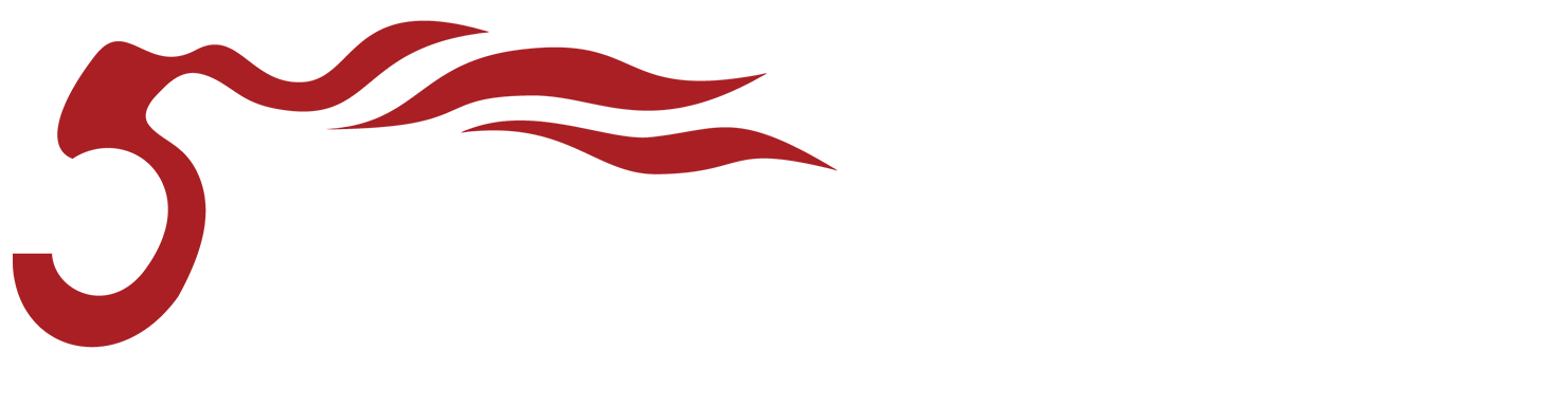 音王电声股份有限公司