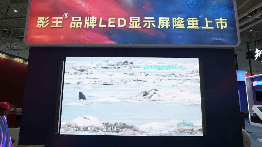 人气爆棚|音王亮相武汉文旅博览会，凭借硬核实力强势出圈