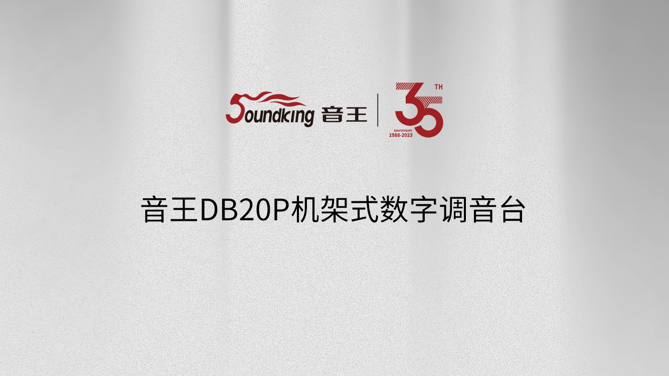 音王DB20P机架式数字调音台