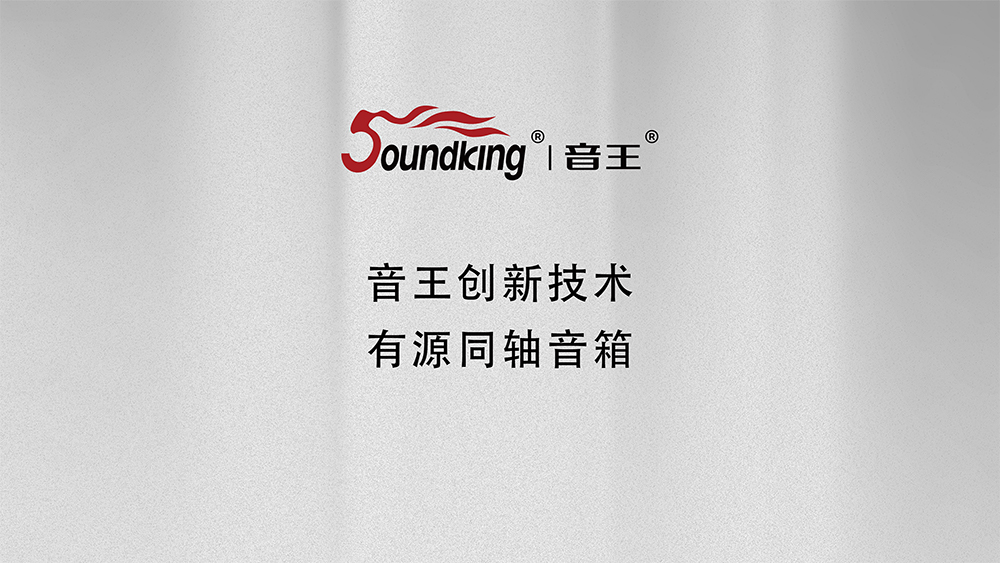 音王创新技术有源同轴音箱 音王创新技术有源同轴音箱