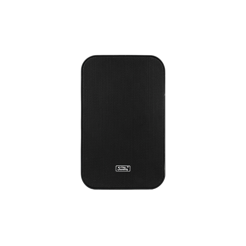 音王有源塑壳同轴定制音箱KK61A正面