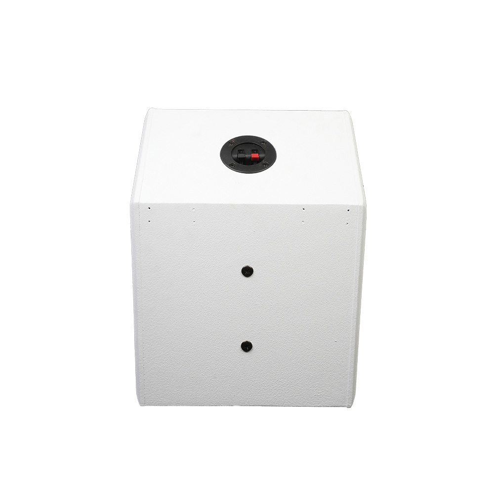 音王无源音箱P50侧面