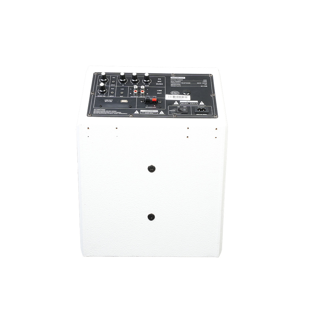 音王有源音箱P50A背面