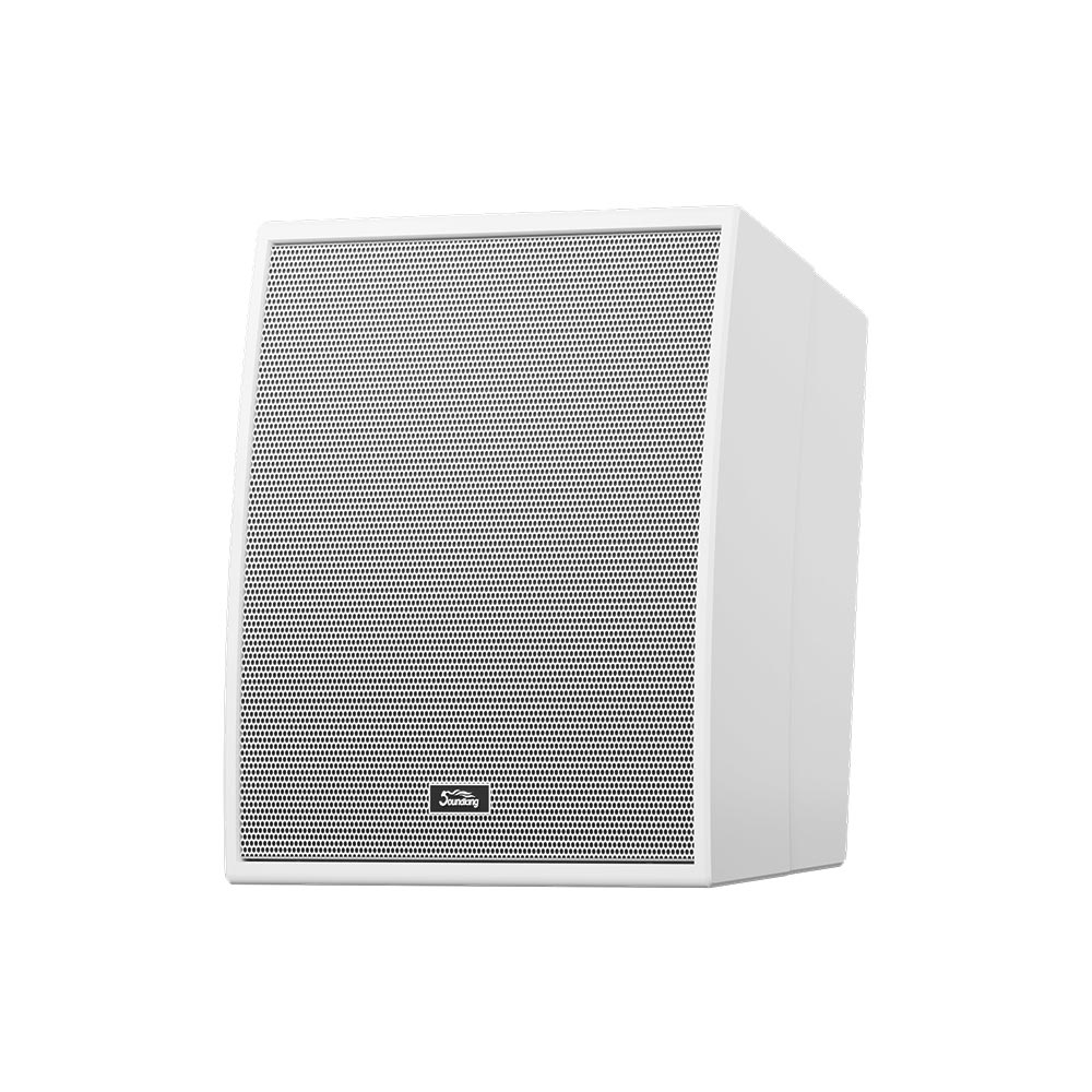 音王两分频无源同轴音箱FCL12C侧面