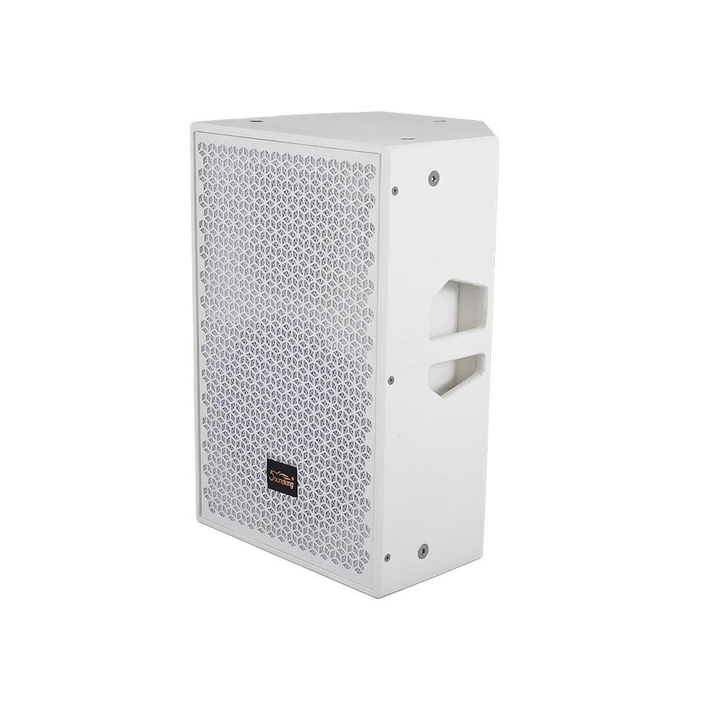 音王无源二分频音箱GY10侧面