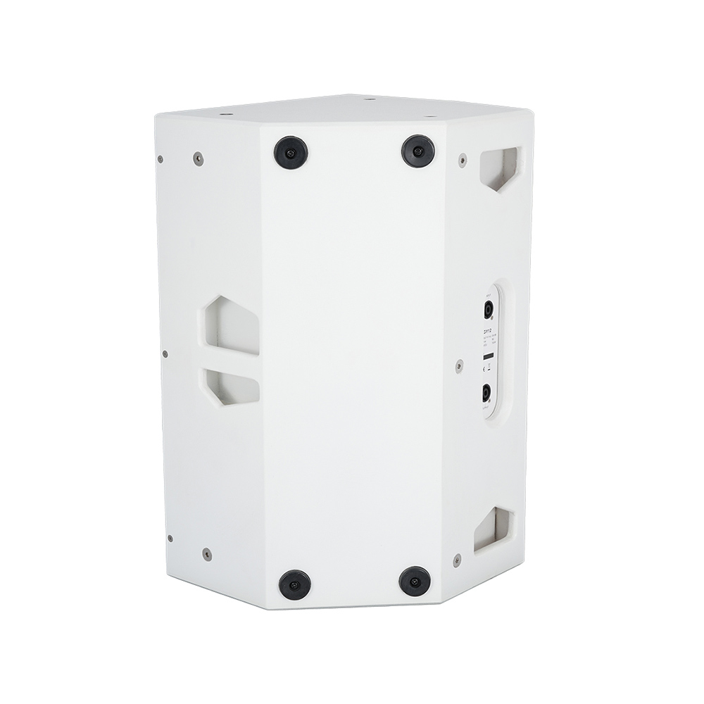 音王无源二分频音箱GY12背面