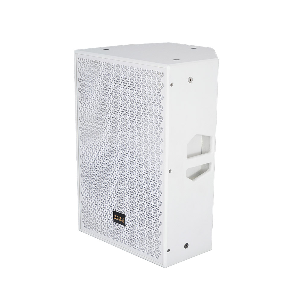 音王无源二分频音箱GY12侧面