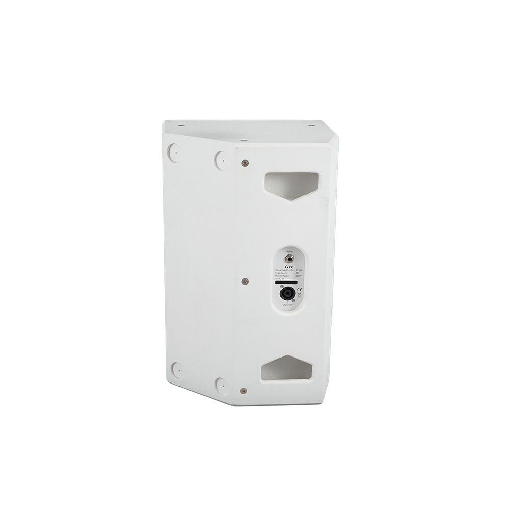 音王无源二分频音箱GY8背面