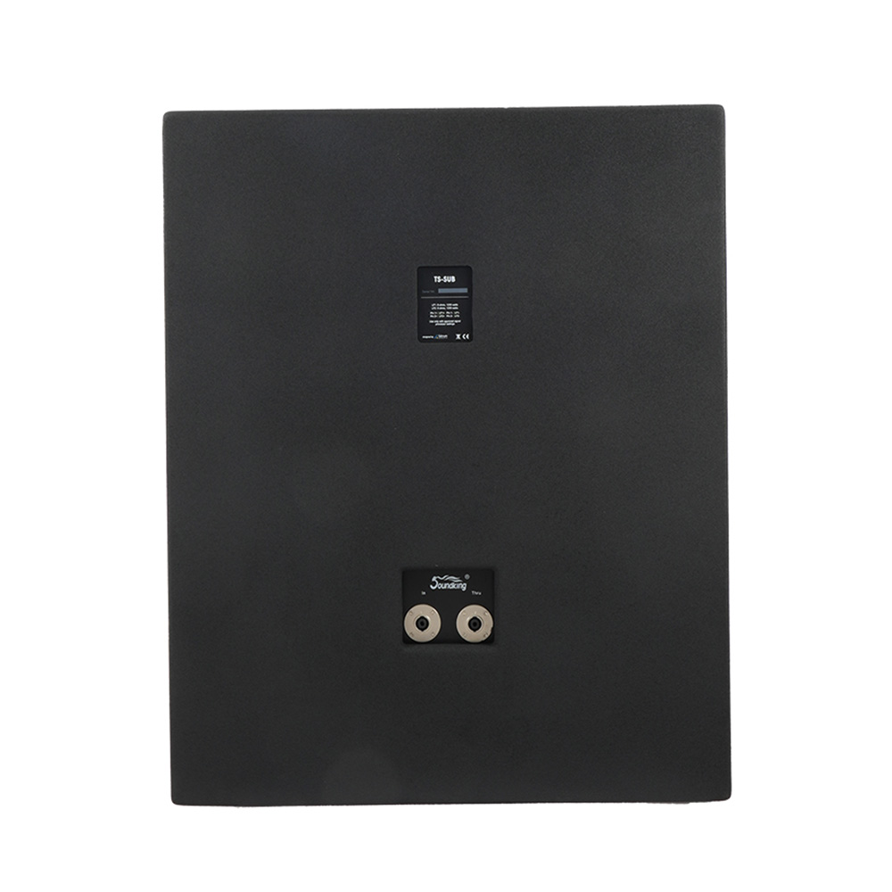 音王超低频音箱TS-SUB背面