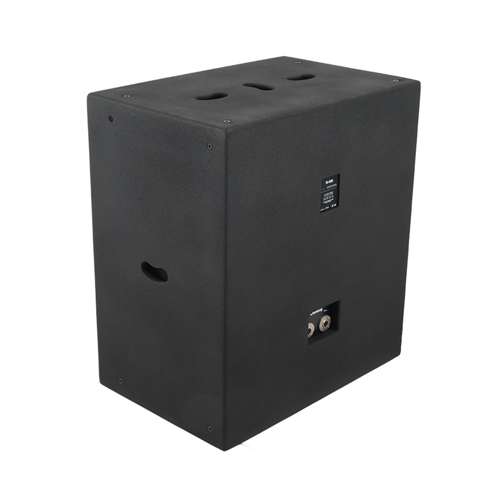 音王超低频音箱TS-SUB背面