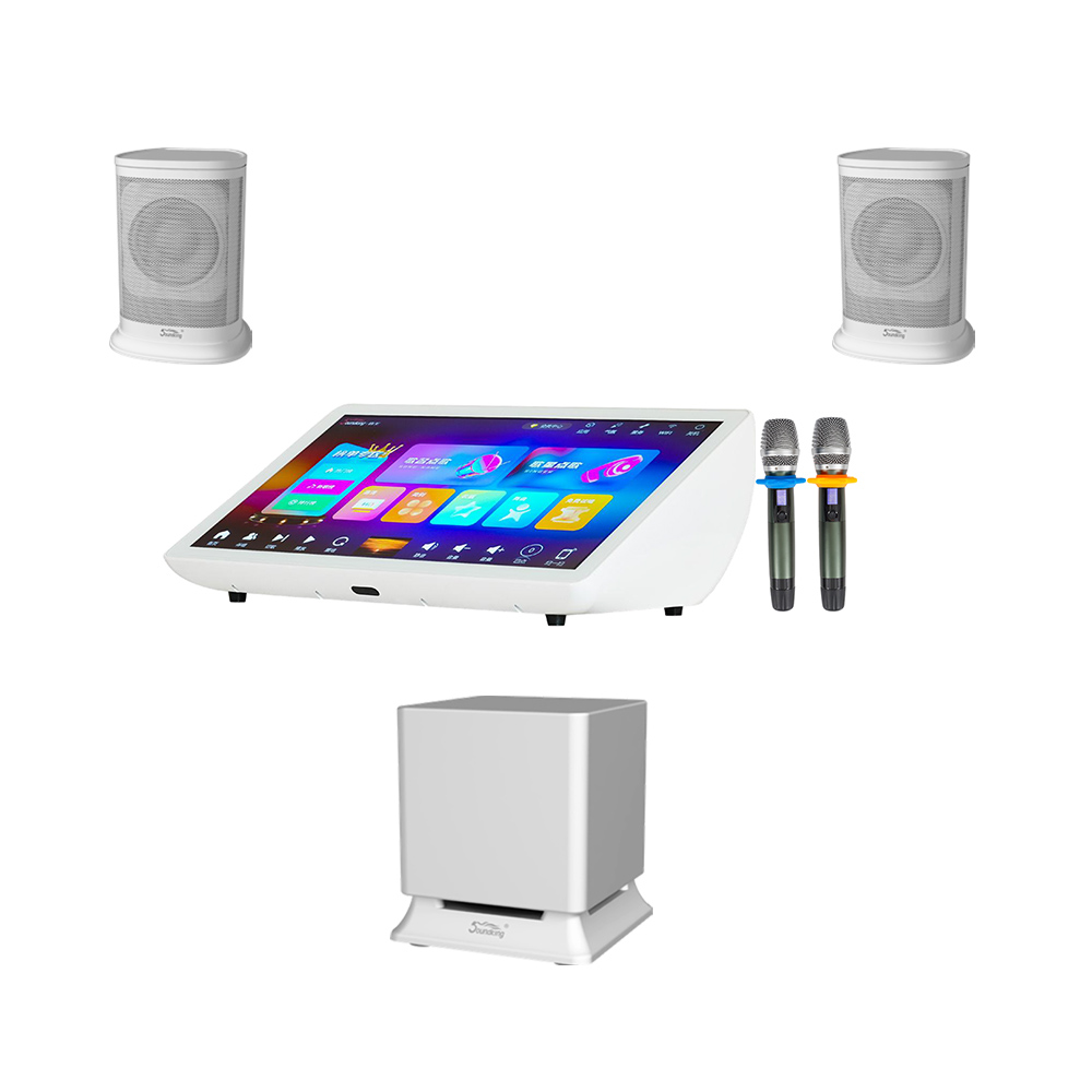 HIFI智能K歌音响系统SK-F20