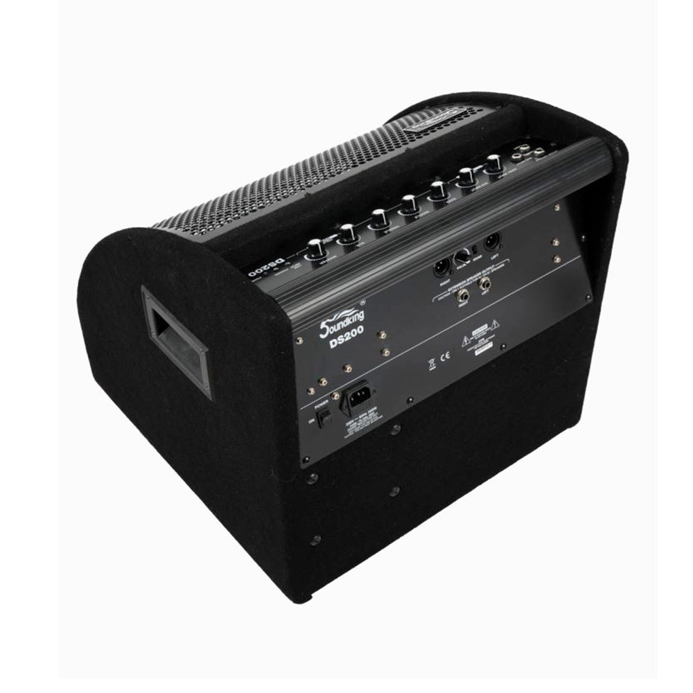 音王鼓音箱DS200侧面