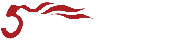 音王电声股份有限公司